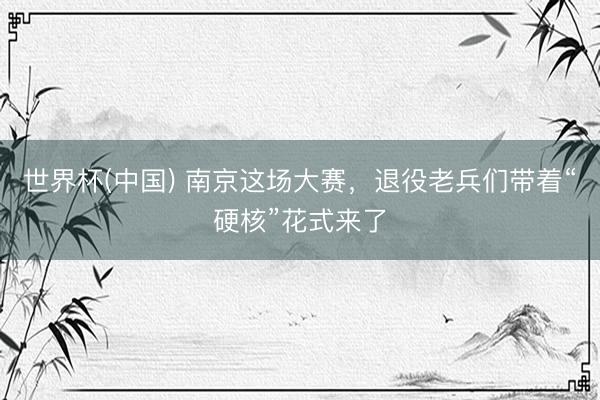 世界杯(中国) 南京这场大赛,退役老兵们带着“硬核”花式来了