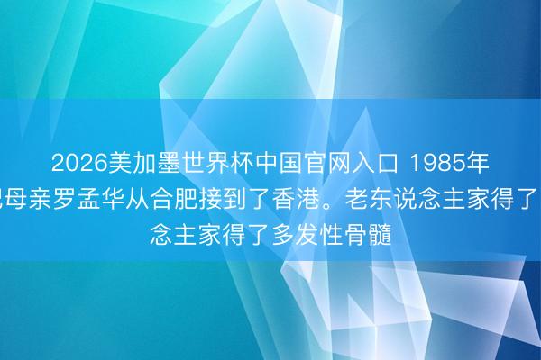 2026美加墨世界杯中国官网入口 1985年，杨振宁把母亲罗孟华从合肥接到了香港。老东说念主家得了多发性骨髓