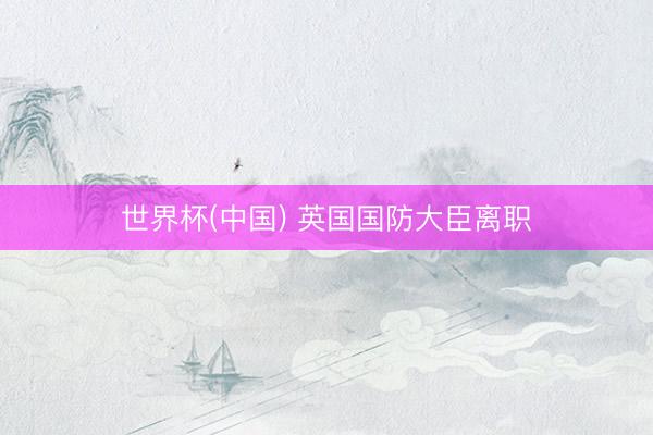 世界杯(中国) 英国国防大臣离职