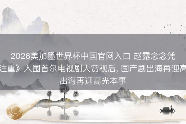 2026美加墨世界杯中国官网入口 赵露念念凭《许我注重》入围首尔电视剧大赏视后， 国产剧出海再迎高光本事