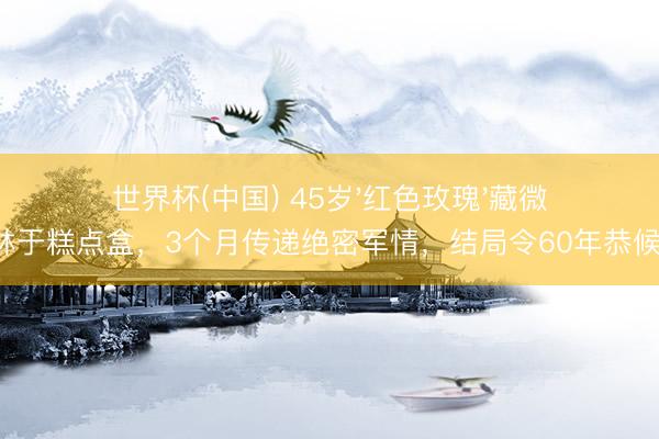 世界杯(中国) 45岁'红色玫瑰'藏微缩菲林于糕点盒，3个月传递绝密军情，结局令60年恭候泪崩！