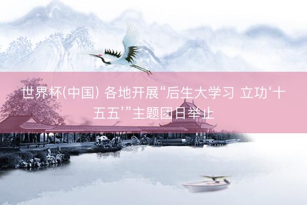 世界杯(中国) 各地开展“后生大学习 立功‘十五五’”主题团日举止