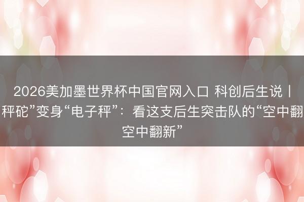 2026美加墨世界杯中国官网入口 科创后生说丨“旧秤砣”变身“电子秤”：看这支后生突击队的“空中翻新”