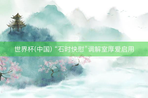 世界杯(中国) “石时快慰”调解室厚爱启用