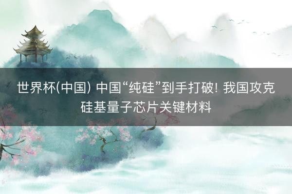 世界杯(中国) 中国“纯硅”到手打破! 我国攻克硅基量子芯片关键材料