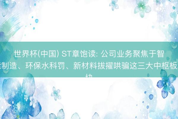世界杯(中国) ST章饱读: 公司业务聚焦于智能制造、环保水科罚、新材料拔擢哄骗这三大中枢板块