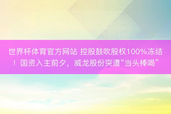 世界杯体育官方网站 控股鼓吹股权100%冻结！国资入主前夕，威龙股份突遭“当头棒喝”