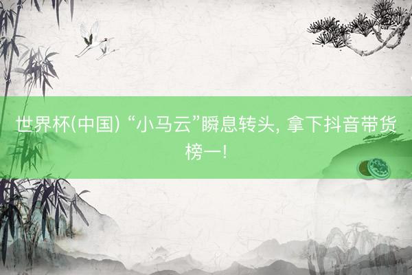 世界杯(中国) “小马云”瞬息转头， 拿下抖音带货榜一!