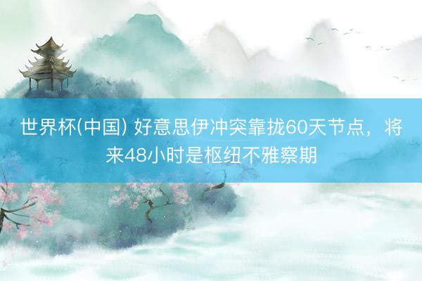 世界杯(中国) 好意思伊冲突靠拢60天节点，将来48小时是枢纽不雅察期