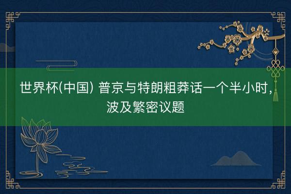 世界杯(中国) 普京与特朗粗莽话一个半小时，波及繁密议题